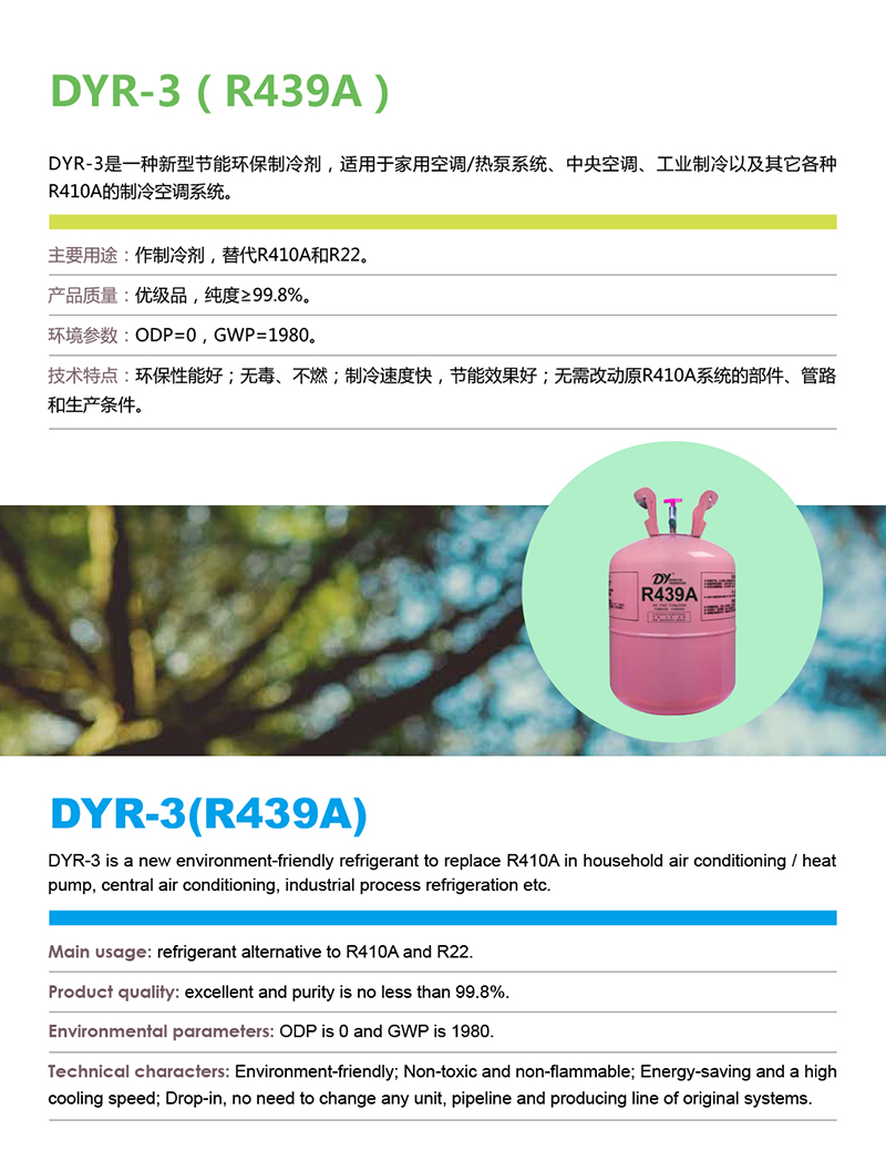 12-DYR-3.jpg 12-DYR-3.jpg